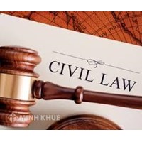 Lawyer counseling, drafting civil and economic lawsuit petitions