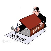 Anh, chị ruột có thể nhận em làm con nuôi không ? Cô có được nhận cháu ruột làm con nuôi ?