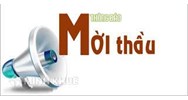 Phân biệt đấu thầu rộng rãi, đấu thầu hạn chế, đấu thầu chỉ định
