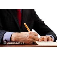 Lawyers represent in litigation of economic and civil cases in court