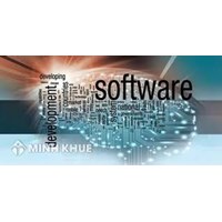 Doanh nghiệp hoạt động thế nào được xác định là doanh nghiệp sản xuất phần mềm?