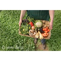Điều kiện kinh doanh sản phẩm biến đổi gen làm thực phẩm