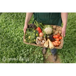 Điều kiện kinh doanh sản phẩm biến đổi gen làm thực phẩm