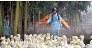 Làm lây lan dịch bệnh truyền nhiễm cho người khác có phải chịu trách nhiệm hình sự không ?