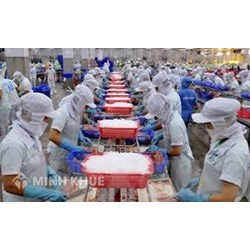 Bảo hộ nhãn hiệu độc quyền cho doanh nghiệp hoạt động trên lĩnh vực chế biến thuỷ sản và các sản phẩm từ thuỷ sản