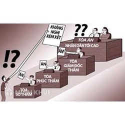 Mẫu Đơn đề nghị xem xét bản án, quyết định của Tòa án đã có hiệu lực pháp luật theo thủ tục giám đốc thẩm 
