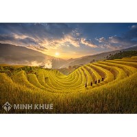Diện tích cấp sổ đỏ và diện tích tối thiểu tách thửa tại 63 tỉnh thành phố mới 2025