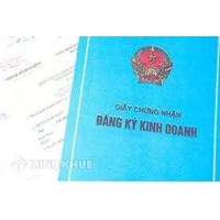 Việc hiệu đính thông tin trong Giấy chứng nhận đăng ký doanh nghiệp được quy định như thế nào?