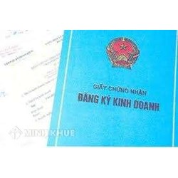 Việc hiệu đính thông tin trong Giấy chứng nhận đăng ký doanh nghiệp được quy định như thế nào?