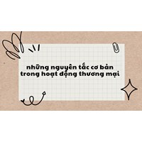Những nguyên tắc cơ bản trong hoạt động thương mại?