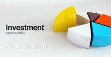 Giấy chứng nhận đầu tư bao gồm những nội dung gì ?