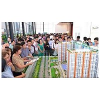Quyền và nghĩa vụ của tổ chức, cá nhân tham gia sàn giao dịch bất động sản