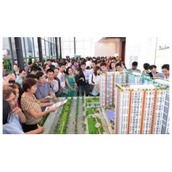 Quyền và nghĩa vụ của tổ chức, cá nhân tham gia sàn giao dịch bất động sản
