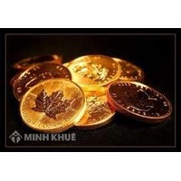 Quyền và nghĩa vụ của nhà đầu tư theo quy định của pháp luật đầu tư?