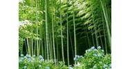 Quy định của Luật đất đai về Đất nông nghiệp do hộ gia đình, cá nhân, cộng đồng dân cư sử dụng?
