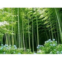 Quy định của Luật đất đai về Đất nông nghiệp do hộ gia đình, cá nhân, cộng đồng dân cư sử dụng?