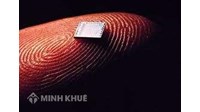 Tính nguyên gốc của thiết kế bố trí thể hiện như thế nào?