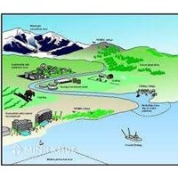 Thủ tục cấp giấy chứng nhận quyền sử dụng đất khi công nhận, chuyển nhượng, tặng cho và các nghĩa vụ tài chính phải nộp