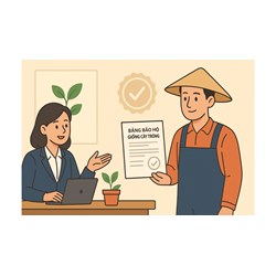 Các trường hợp được sửa đổi, cấp lại Bằng bảo hộ giống cây trồng