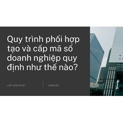 Quy trình phối hợp tạo và cấp mã số doanh nghiệp quy định như thế nào?