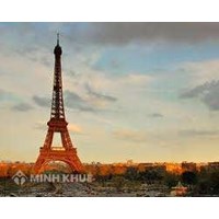 Dịch vụ dịch thuật các ngôn ngữ khác
