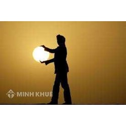 Hoạt động của luật sư đang ở đâu trong các nhu cầu của xã hội ?