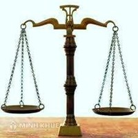 Luật sư thương mại quốc tế ở Việt Nam