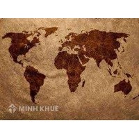 Dịch vụ tư vấn bảo hộ thương hiệu uy tín chất lượng cho doanh nghiệp