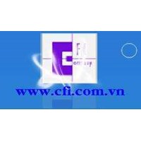 Công ty Cổ phần CFI
