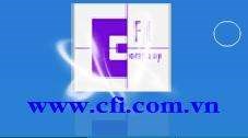 Công ty Cổ phần CFI