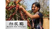 Vụ thương hiệu cà phê Buôn Ma Thuật và bài học về bảo vệ tài sản trí tuệ cho các doanh nghiệp Việt Nam