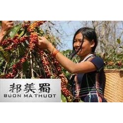 Vụ thương hiệu cà phê Buôn Ma Thuật và bài học về bảo vệ tài sản trí tuệ cho các doanh nghiệp Việt Nam