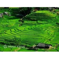 Chính sách đất nông nghệp ở Việt Nam