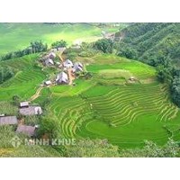 Chế định sở hữu đất đai qua các thời kỳ và giải pháp tăng cường quản lý nhà nước đối với đất đai