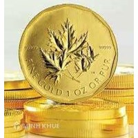 Vật quyền bảo đảm - Những vấn đề lý luận đặt ra trong quá trình cải cách pháp luật dân sự ở nước ta