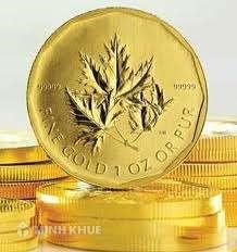 Vật quyền bảo đảm - Những vấn đề lý luận đặt ra trong quá trình cải cách pháp luật dân sự ở nước ta