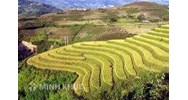 Thời hạn và hạn điền - Những thúc giục từ thực tế