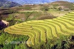 Thời hạn và hạn điền - Những thúc giục từ thực tế