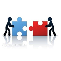 Quy định về giám định sở hữu trí tuệ