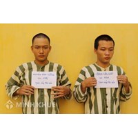 Khái niệm tội phạm? Dấu hiệu tội phạm, cách xác định tội phạm?