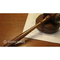 Mẫu tờ khai đăng ký việc nhận con