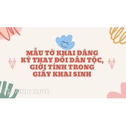 Mẫu tờ khai đăng ký thay đổi dân tộc, giới tính trong giấy khai sinh