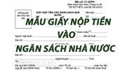 Mẫu giấy nộp tiền vào ngân sách nhà nước (Mẫu số: C1- 02/NS)