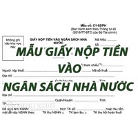 Mẫu giấy nộp tiền vào ngân sách nhà nước (Mẫu số: C1- 02/NS)