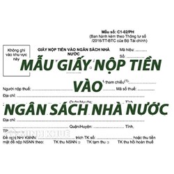 Mẫu giấy nộp tiền vào ngân sách nhà nước (Mẫu số: C1- 02/NS)