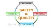 Phân tích lợi thế và hạn chế của loại hình công ty cổ phần