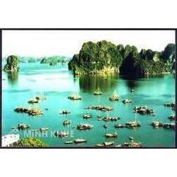 Công ty TNHH Thương mại và Dịch vụ du lịch BIGSEA