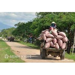 Truy cứu trách nhiệm hình sự và mức bồi thường đối với với hành vi gây tai nạn giao thông?
