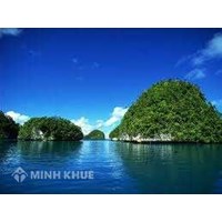 Tourist's total revenue reaches 18 – 19 billion vnd by 2020