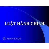 Công ty mẹ có được ủy quyền cho chi nhánh sử dụng tài khoản không?